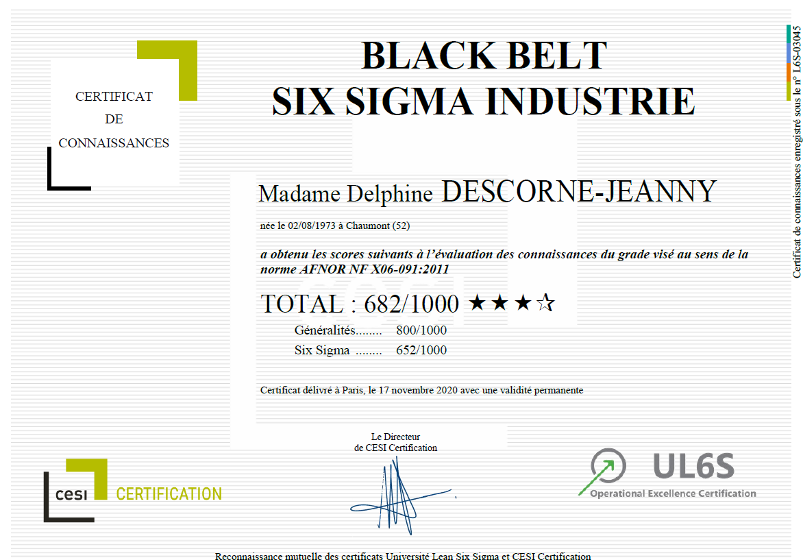 Black Belt 6 SIGMA Industrie