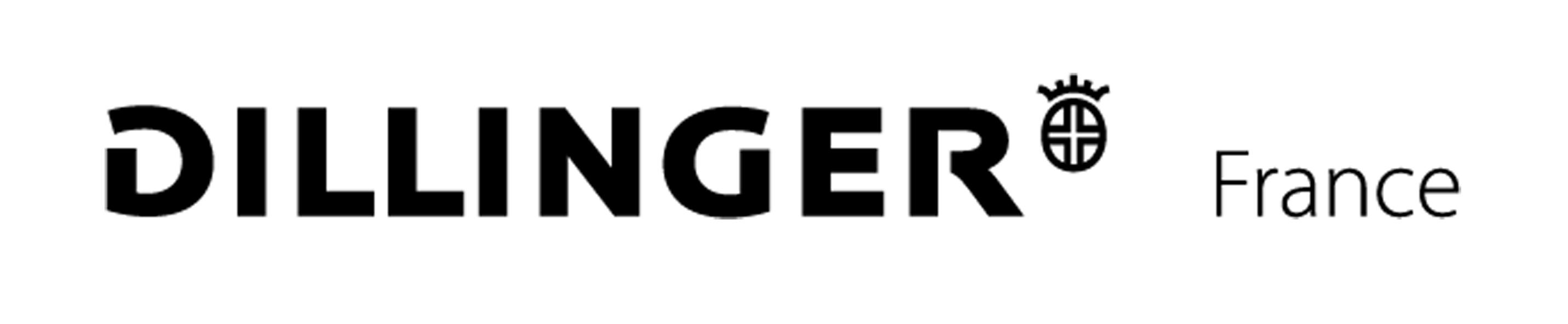 logo Dillinger France