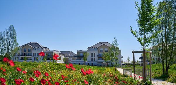 Secteur de Sénart. © Laurent Descloux