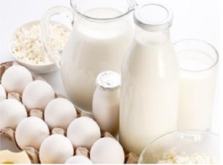 La fin du « Lait de soja » et du « fromage végétal » pour la Cour de Justice de