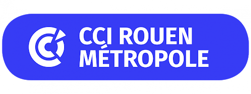 logo ccirm