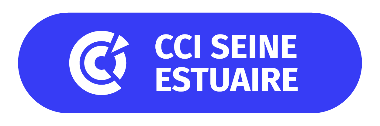 Logo CCITSE