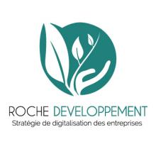 Stratégie de digitalisation des entreprises