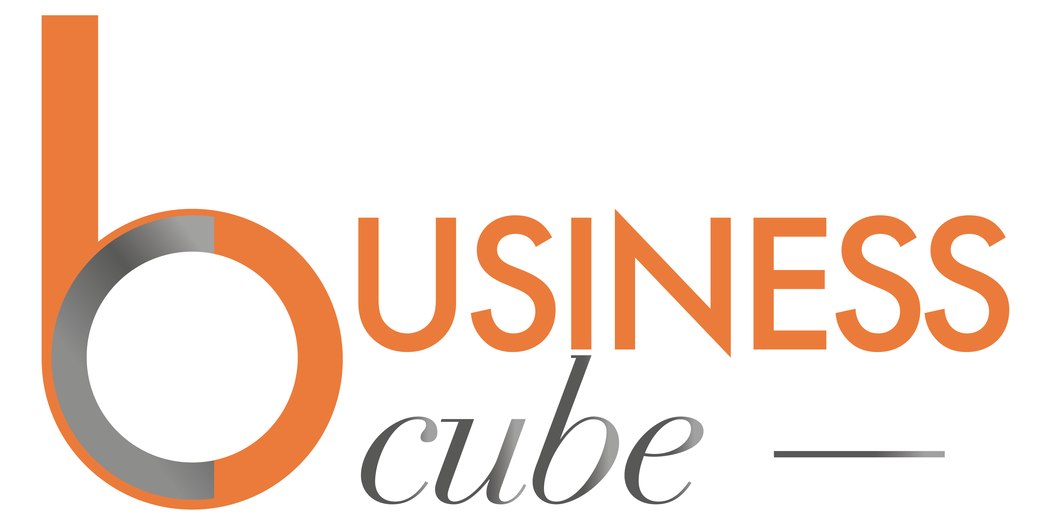 business cube, conseil en création d'entreprise et en développement d'activité 