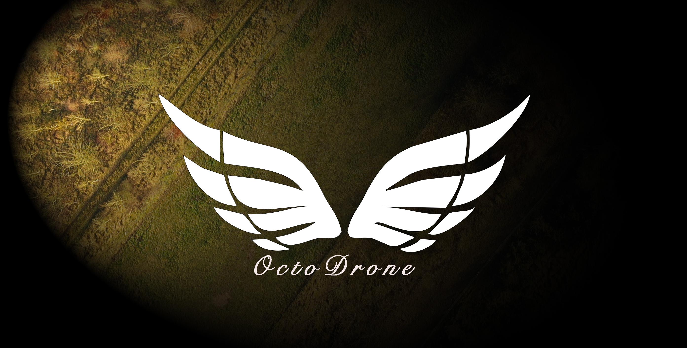 OctoDrone, captation de données par drone et communication