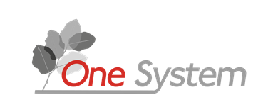 Logo principal One System
