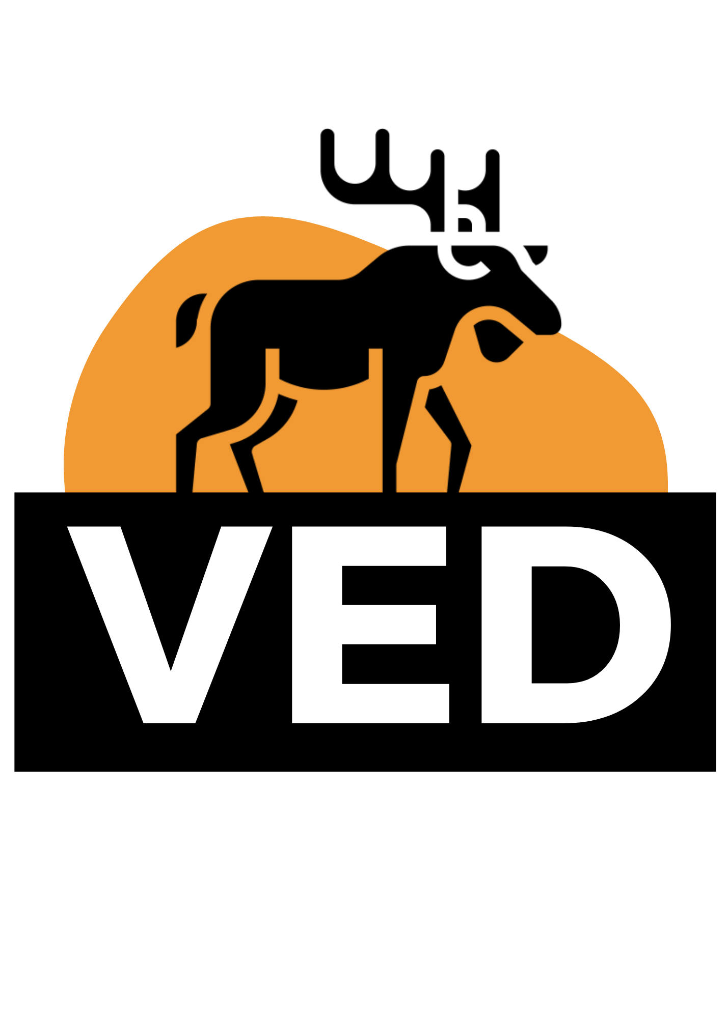 VED SERVICES logo