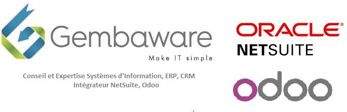 Expert ERP CRM NetSuite & Odoo