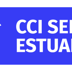 Logo CCITSE